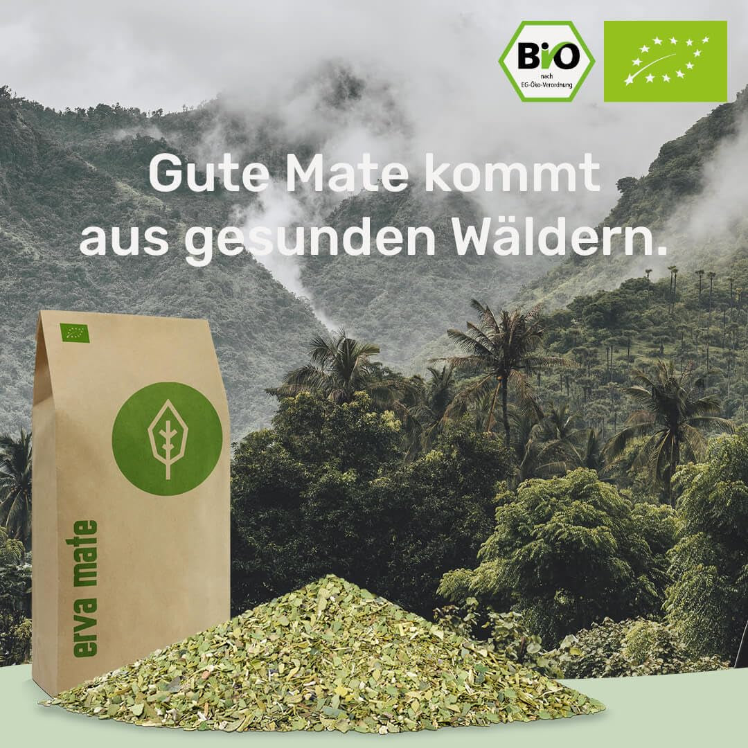 Mate te smagesæt ● 4 varianter af økologisk Mate te ● 100 g hver Erva Mate + Yerba Mate + Green Mate te + Roasted Mate te