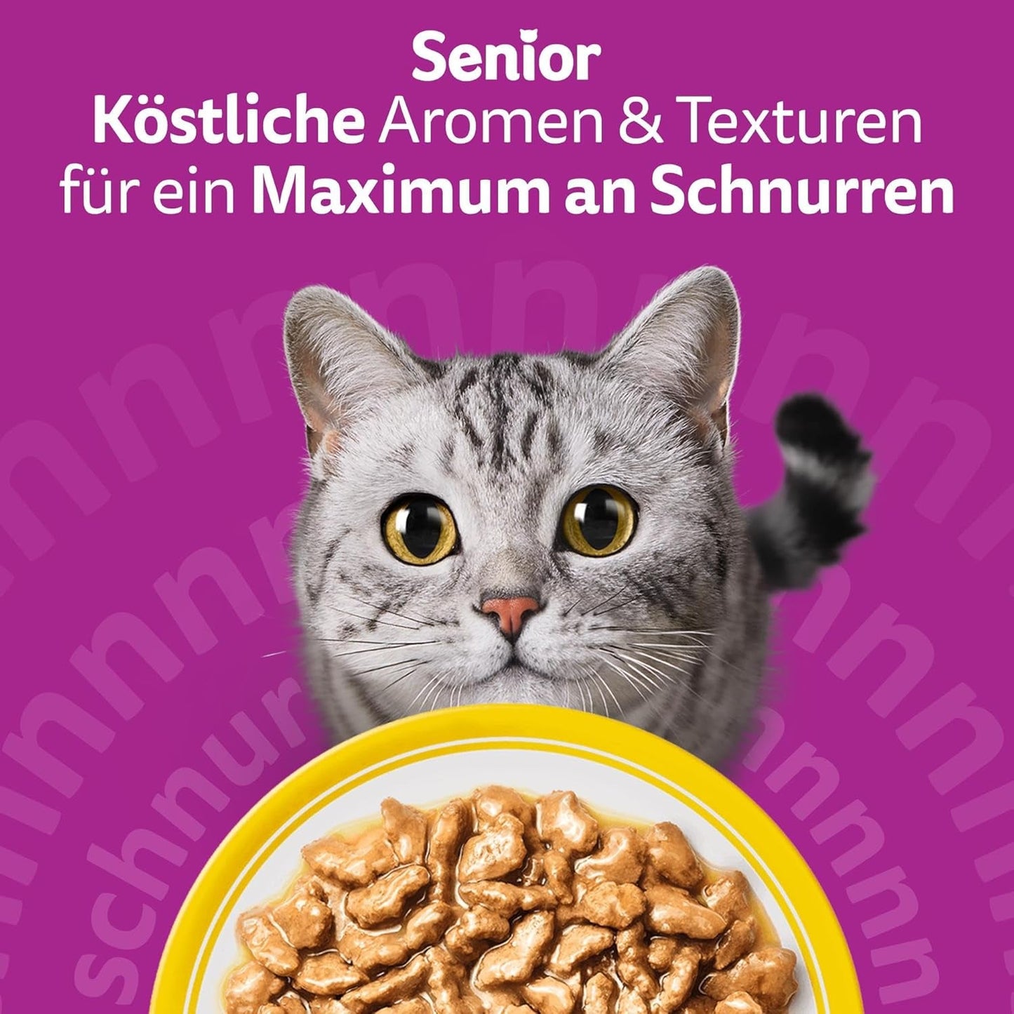 Whiskas 7+ vådfoder til katte Udvalg af fjerkræ i sauce 24 x 85 g (2 pakker) - Højkvalitets vådfoder fra 7 år i 48 portionsposer
