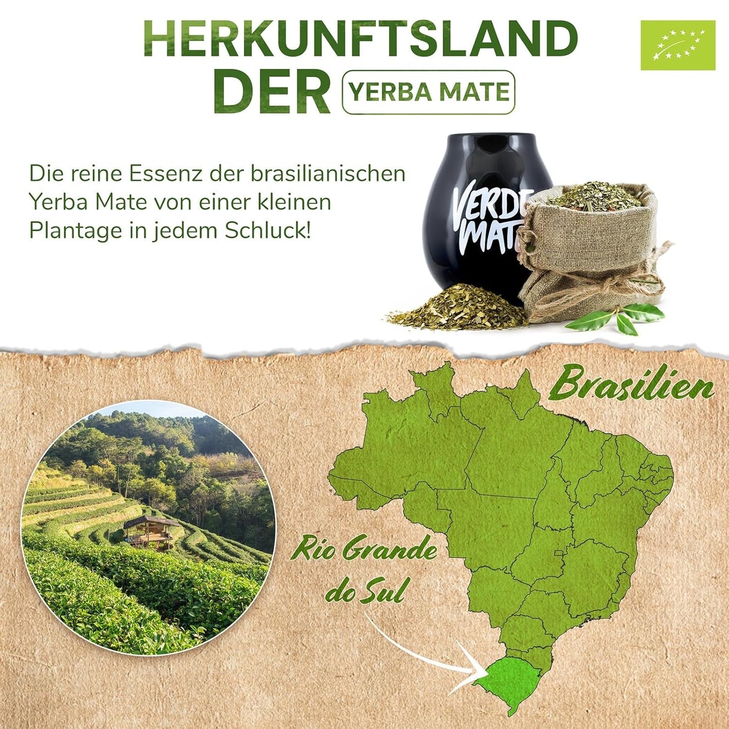 Green Mate Green Orgánica Energy Guarana 500G | Økologisk Yerba Mate te fra Brasilien | Naturligt koffeinindhold | Økologisk Mate te