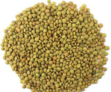 Grønne linser – Laird Variety, 1 kg Pakke | Førsteklasses kvalitet, hele linser | Rig på protein og fibre | Vegansk, ikke-GMO | Ideel til supper, salater, karryretter og tilberedning af måltider