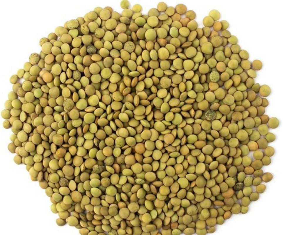Grønne linser – Laird Variety, 1 kg Pakke | Førsteklasses kvalitet, hele linser | Rig på protein og fibre | Vegansk, ikke-GMO | Ideel til supper, salater, karryretter og tilberedning af måltider