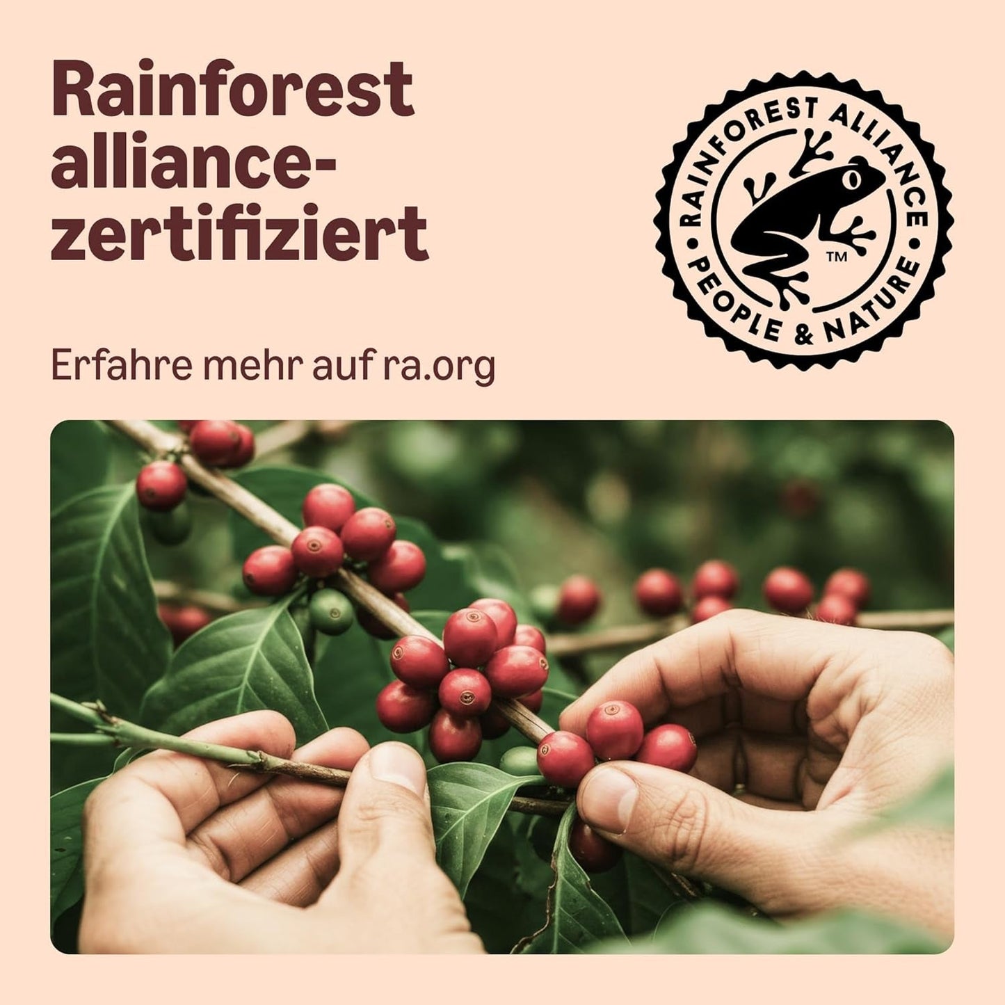 By Amazon Heimkomposterbare Kaffeekapseln, kompatibel med Nespresso, 100 % kolumbianischer Arabica, 20 Stück – Rainforest Alliance-zertifiziert