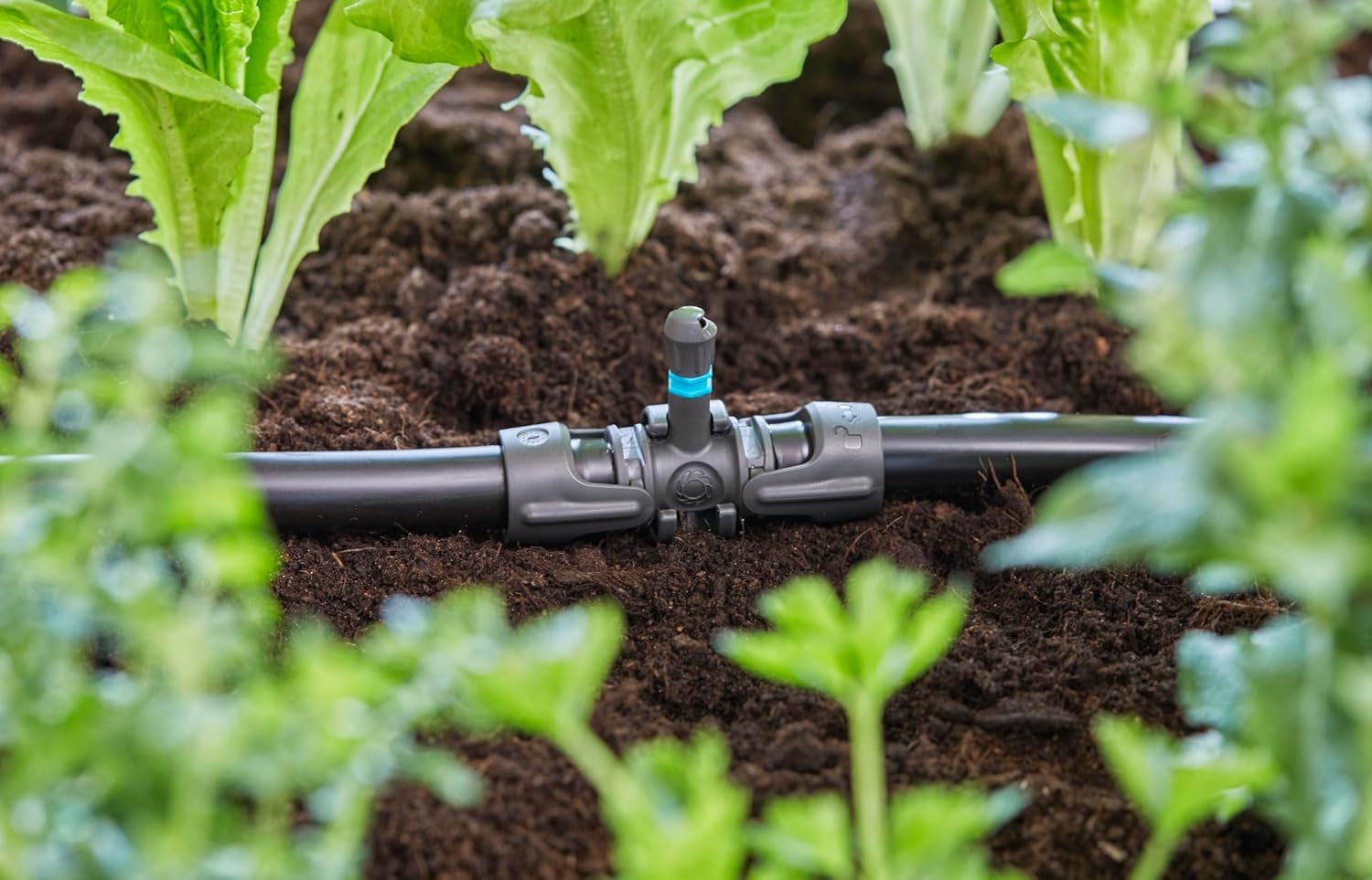 Gardena Micro-Drip-System T-stykke til sprøjtedyser: Forbindelse mellem 13 mm rør og en sprøjtedyse, automatisk plantevanding, hurtig og nem tilslutningsteknologi, genanvendelig (13206-20)