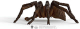 Schleich 13987 Aragog, fra 6 år, HARRY POTTER - legefigur, 17 X 8 X 14 cm Actionfigurer Naty Shop