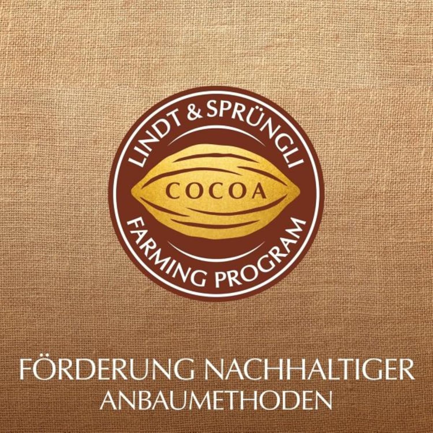 Lindt Chokolade fra hjertet | 30 g | 6 praliner i Marc de Champagne, Coeur à l'Orange, Crispy Milk Chocolate, Orange Marcipan i en smuk hjerteformet æske | Gave af chokolade | Chokolade gave