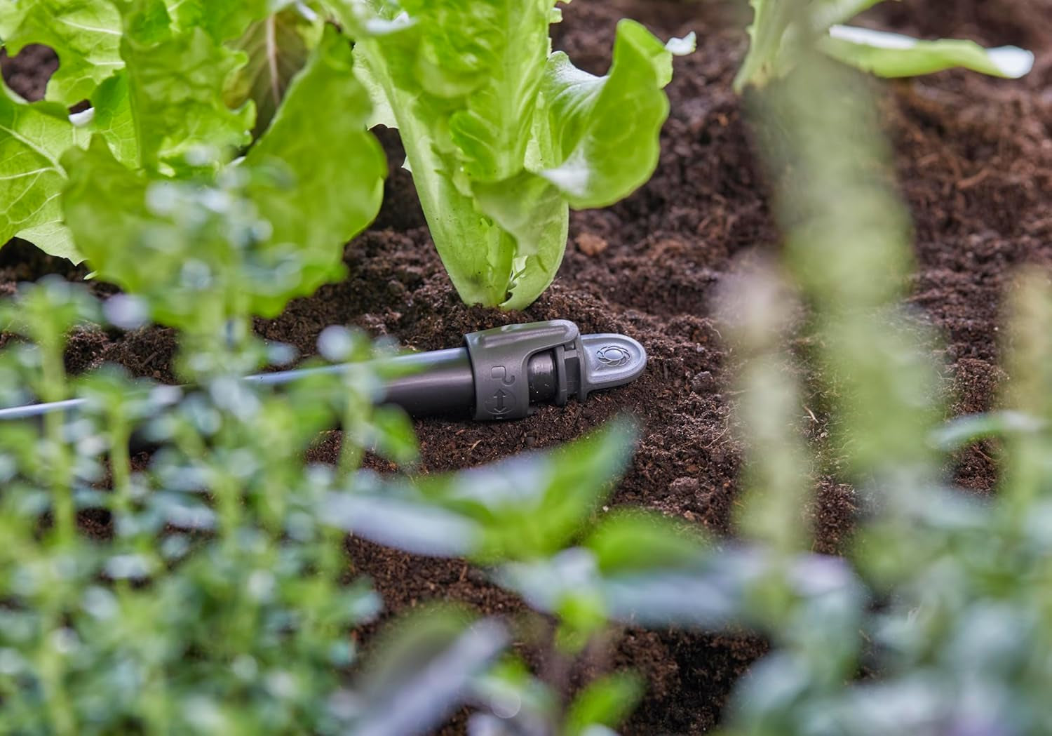Gardena Micro-Drip-System tætningsprop 13 mm (1/2 tomme): Praktisk lukning til 13 mm rør, Hurtig og nem tilslutningsteknologi, genanvendelig (13205-20)