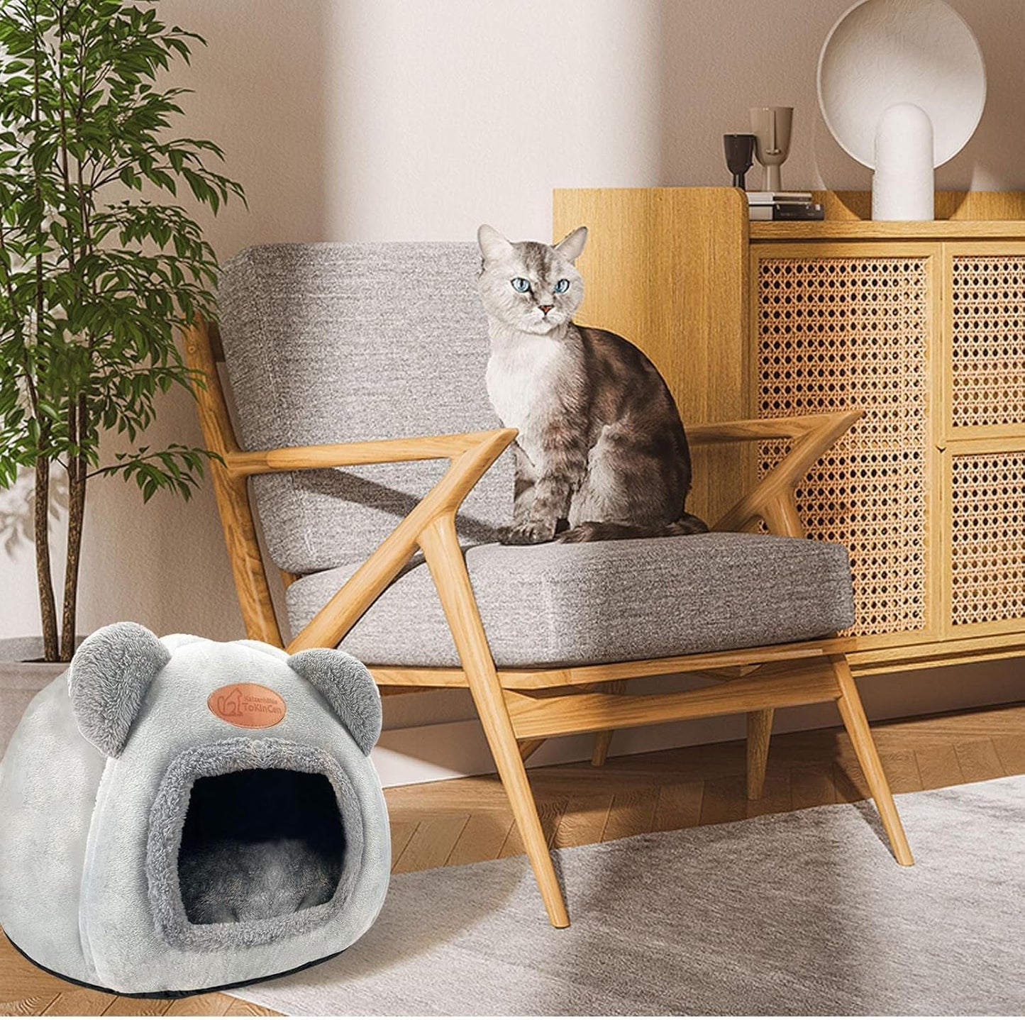 Tæpper og møbler, kæledyr, huler og huse, katte, senge til katte, katte - senge, madrasser