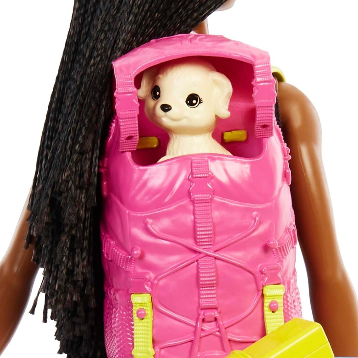 Barbie HDF74 Twin Pack Dukke! Brooklyn Camping Doll (brunette med flettede pigtails, ca. 29 cm) med hvalp, rygsæk, sovepose, 10 campingtilbehør, gave til børn fra 3 år og opefter
