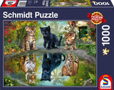 Schmidt Spiele 57392 Dream Big, katte, puslespil 1000 brikker Puslespil Naty Shop Standard titel