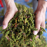Spicebar Roter Kampot Pfeffer, Premium Auslese fra Kambodscha (1 x 70g)