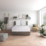Traumnacht Green Basic Pudesæt bestående af to puder 80 X 80 Cm, Oeko-Tex certificeret, produceret efter den tyske kvalitetsstandard Naty Shop standard puder 80 X 80 Cm