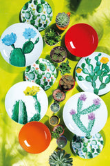 Excelsa Color Cactus servicesæt, 18 dele, flerfarvet