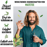 ORIGEENS BIO YERBA MATE TEA 1 KG - The Original I Uristet, blade, uden stængler, støv og krummer I Energigivende og afgiftende drik