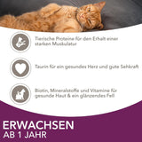 IAMS Delights Land & Sea Collection våd kattefoder - kød- og fiskesortiment Multipak i sauce, vådfoder til katte fra 1 år, 72 x 85 g
