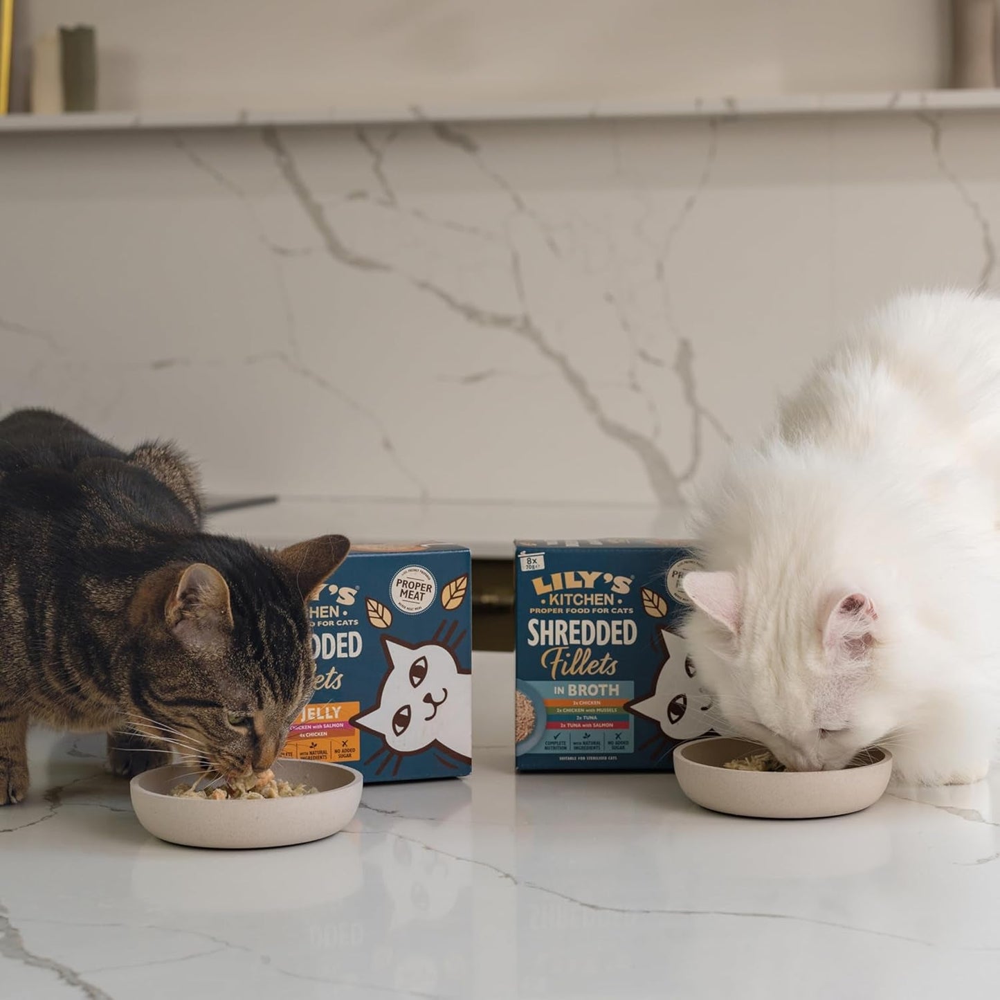 Lily's Kitchen Aus Naturichen Ingrediens hermestellung Zerkleinerte Filet in Gelee mit Hühnchen und Lachs Ausgewachsen Nassfutter für Katzen 70 g Dose