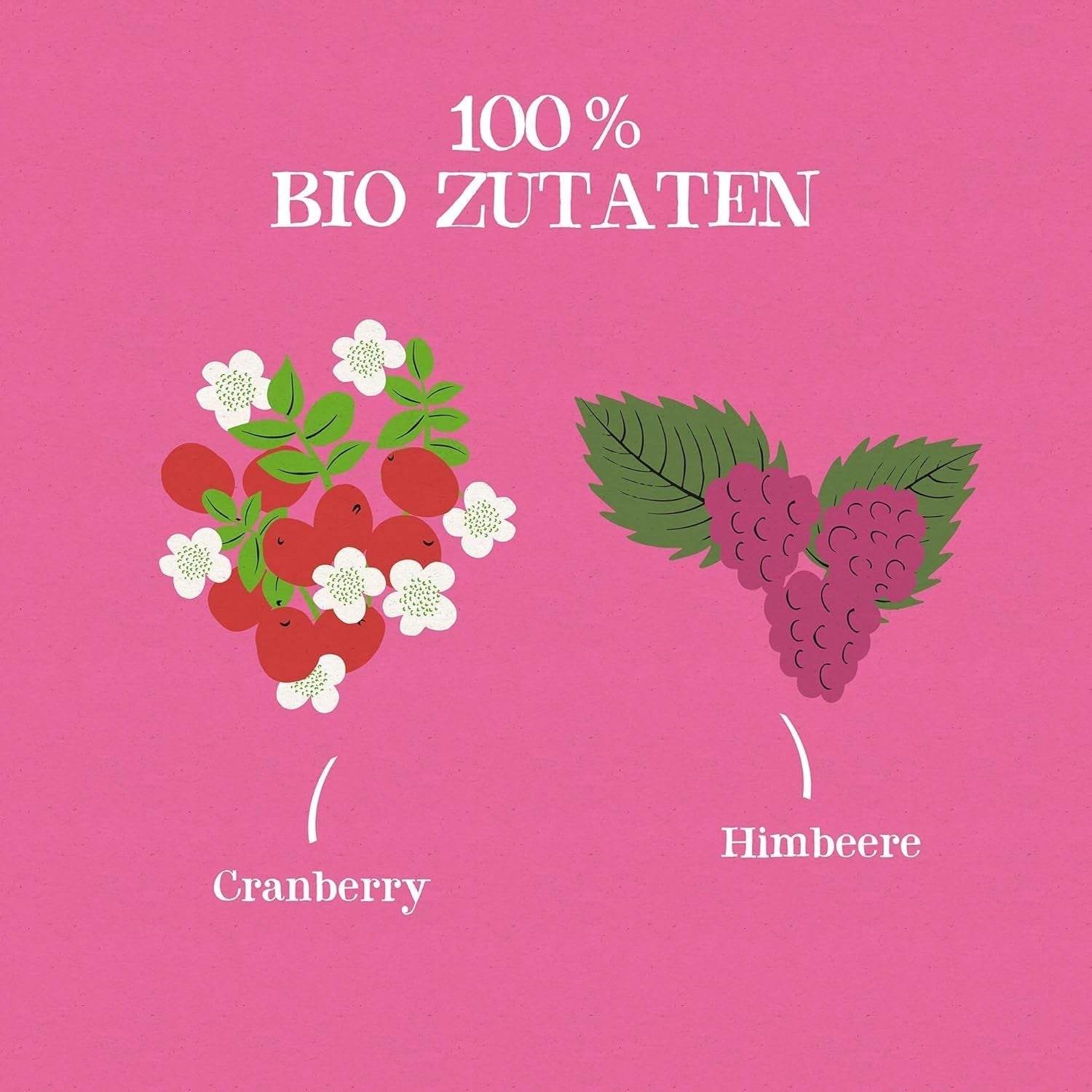 Cupper Økologisk frugt te Tranebær Hindbær | Hindbær te | 250 ublegede teposer | Big Pack | Perfekt til kontoret | Økologisk | Fair handel