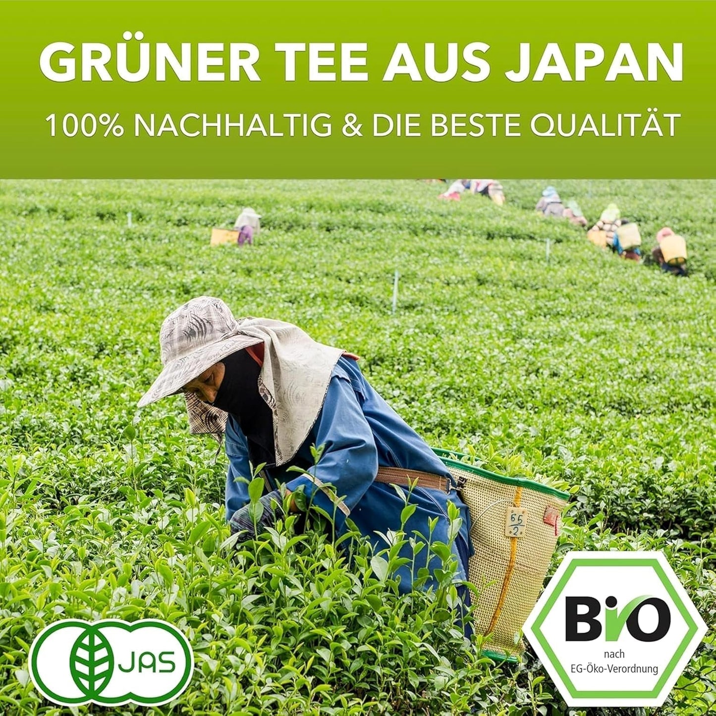 Matchamagic - Økologisk matcha latte pulver fra Japan med kokosblomstsukker til en lækker te