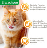 IAMS Delights våd kattefoder med saftigt oksekød og gelégulerødder - komplet vådfoder til voksne katte, 24 poser x 85 g