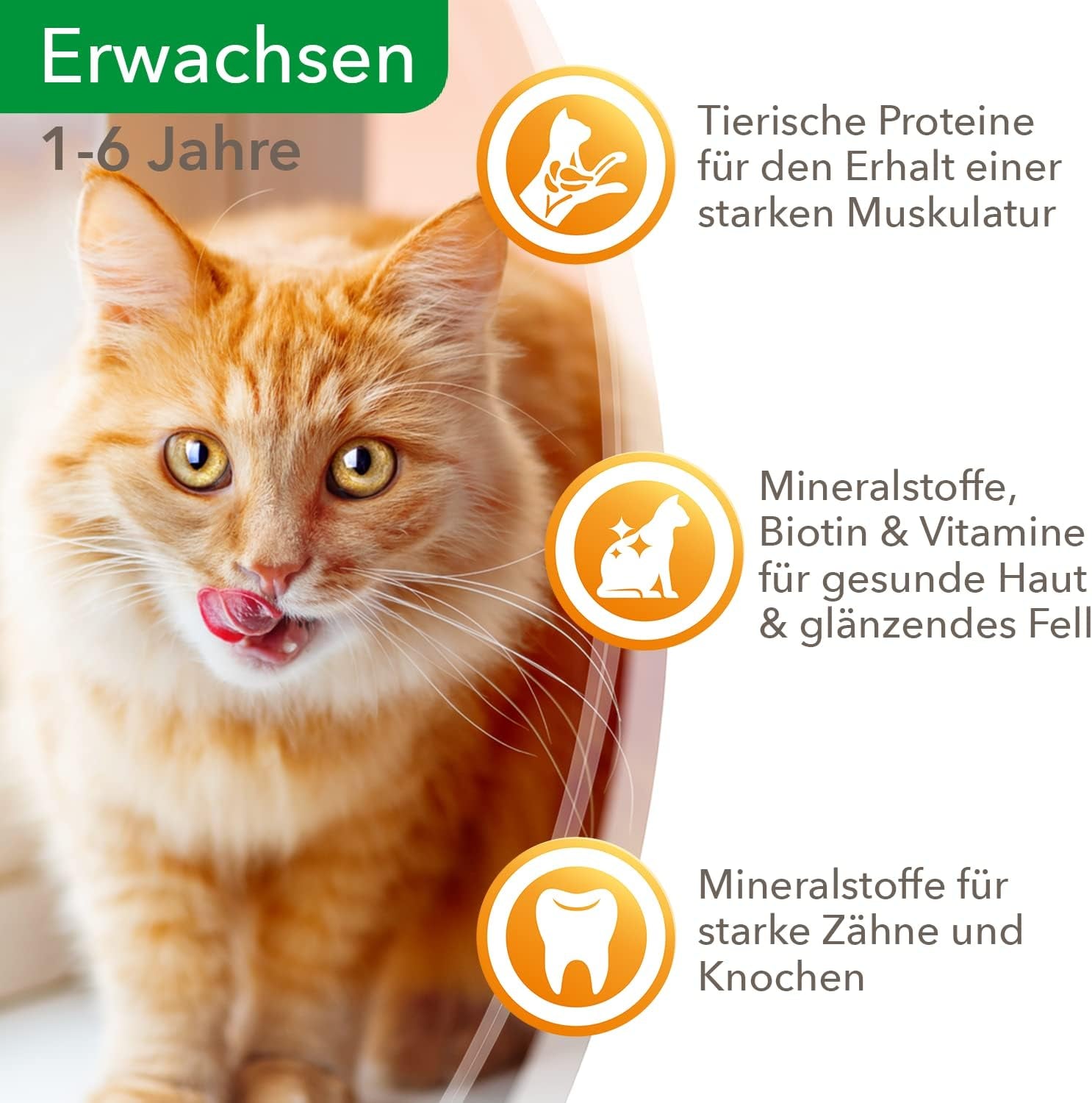 IAMS Delights våd kattefoder med saftigt oksekød og gelégulerødder - komplet vådfoder til voksne katte, 24 poser x 85 g