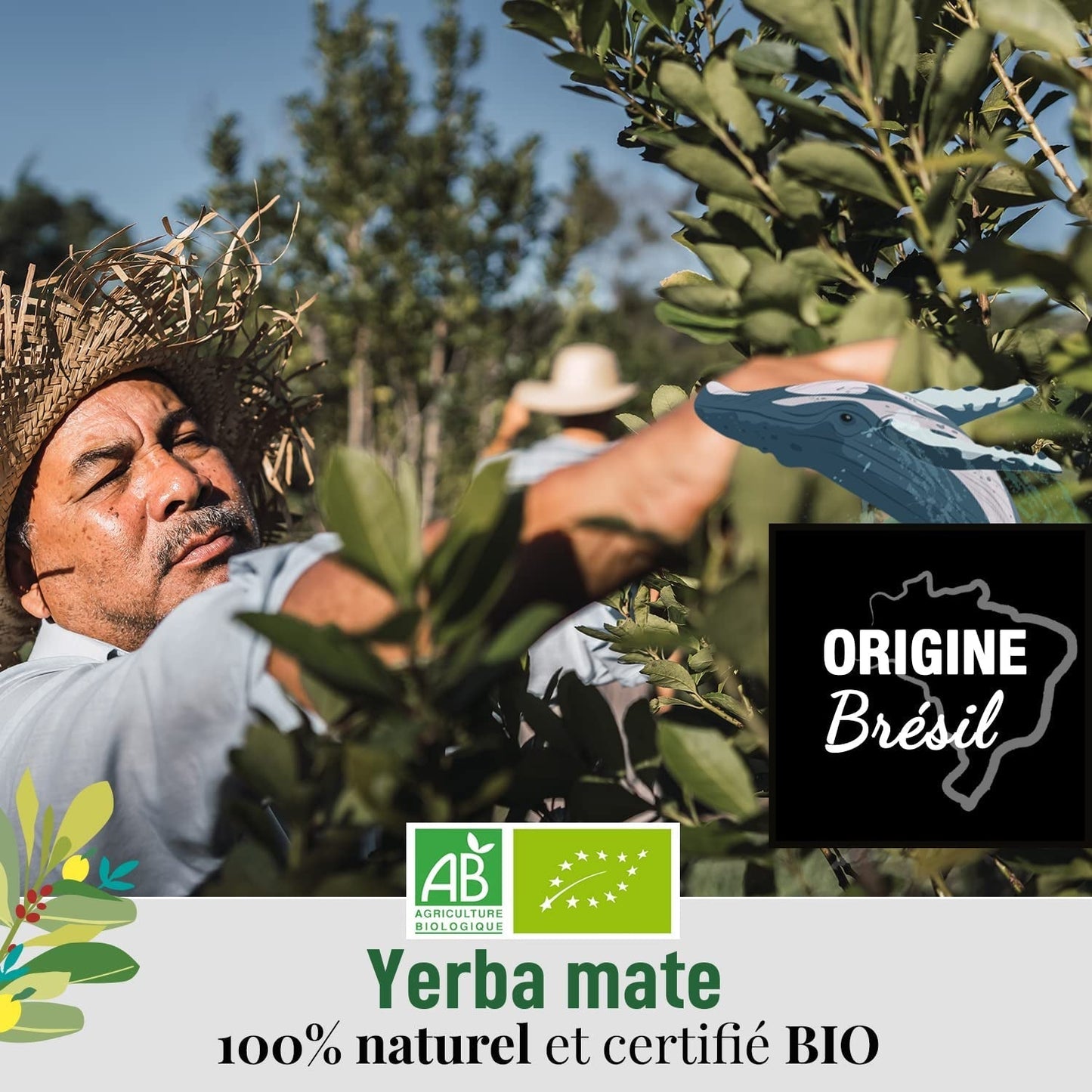 ORIGEENS BIO YERBA MATE MED MYNTE OG CITRONE 200 G - Friskhed I Uristet Bio Yerba Mate, blade, uden stængler og støv