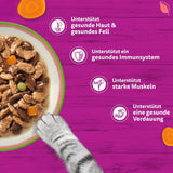 WHISKAS SMÆGENDE MIX Nassfutter i Sauce für Katzen 40 x 85g Chef's Choice