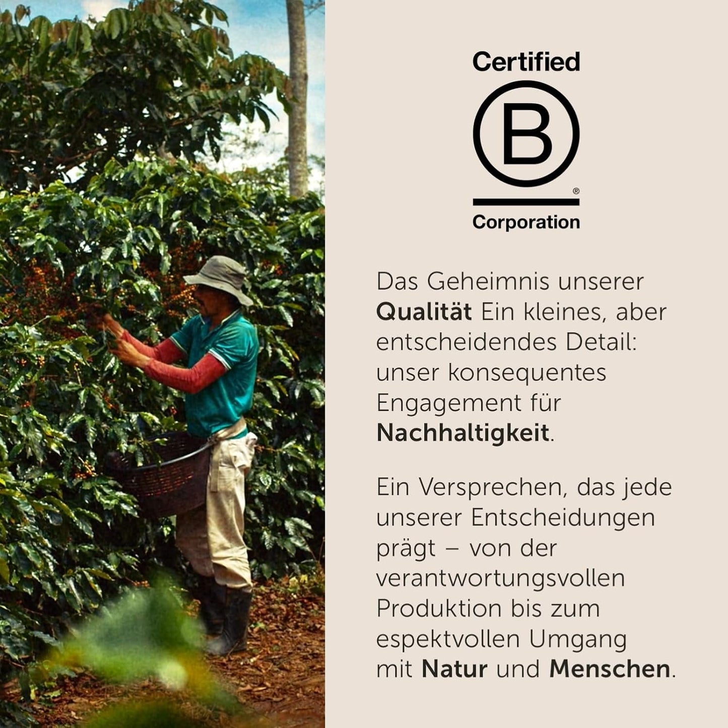 illy, Kompatibel Aluminium-Kaffeekapseln CLASSICO, 100 % Arabica med noter af orange blomster og jasmin, sød smag og sød eftersmag, 10 pakker med 10 kapsler (100 i alt)