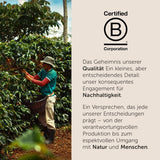 illy, Kompatibel Aluminium-Kaffeekapseln CLASSICO, 100 % Arabica med noter af orange blomster og jasmin, sød smag og sød eftersmag, 10 pakker med 10 kapsler (100 i alt)