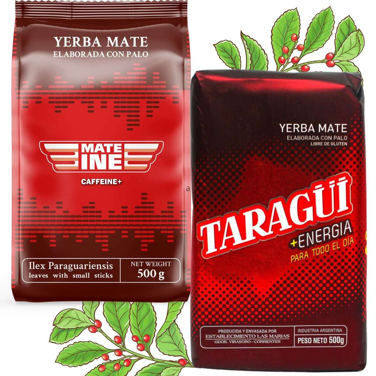 Mate Energy koffein tesæt | Yerba Mate Taragui Energite 500 g | Koffein Mate Te | Alternativ til koffein- og energidrikke | Yerba Mate te med hele blade 1 kg