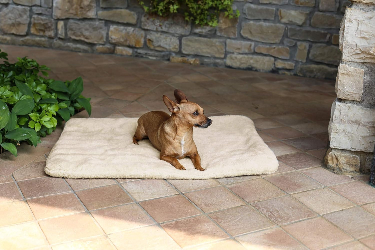 Sogni E Capricci Super Soft Mat, Creme, 104X75CM, Polyester, Dyner og Quilts Naty Shop Creme 104X75Cm