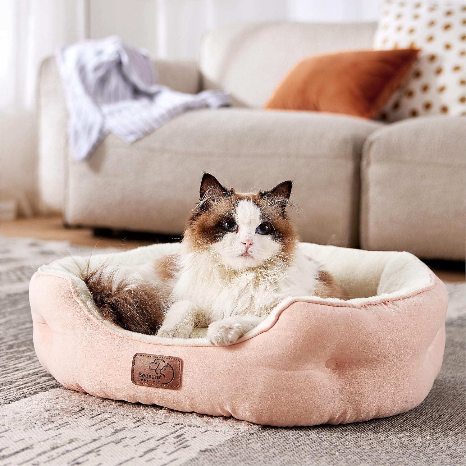 Senge og sofaer, tæpper og møbler, kæledyr, katte, senge til katte, katte - senge, madrasser