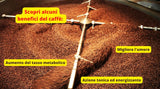 Caffè New York - XXXX - Hel kaffebønne - 1000g