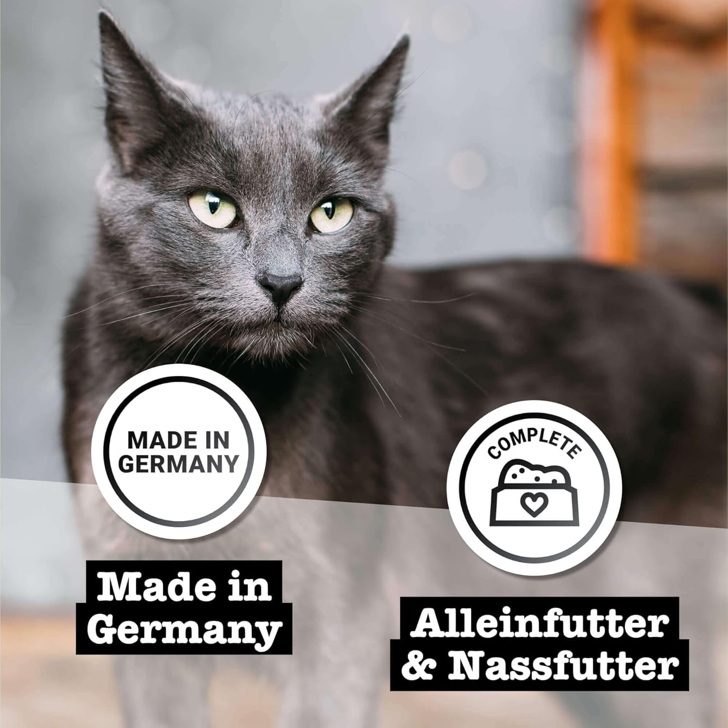 Vådfoder til katte Catz Finefood Purrrr Heste Monoprotein no. 123, til katte med følsom fordøjelse, 70% kødindhold, 6 æsker x 400 g