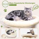 Tæpper og møbler, kæledyr, katte, senge til katte, kradsestolpe, katte - senge, madrasser