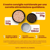almo nature HFC Natural - Vådfoder til katte - med kylling - Menneskelig kvalitet, Glutenfri, Monoprotein - 55g, pakke med 6