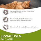 IAMS Delights Land Collection Vådfoder til katte - Multipak med kødvarianter (lam, oksekød, kylling og kalkun) i sauce, vådfoder til katte fra 1 år, 12 x 85g