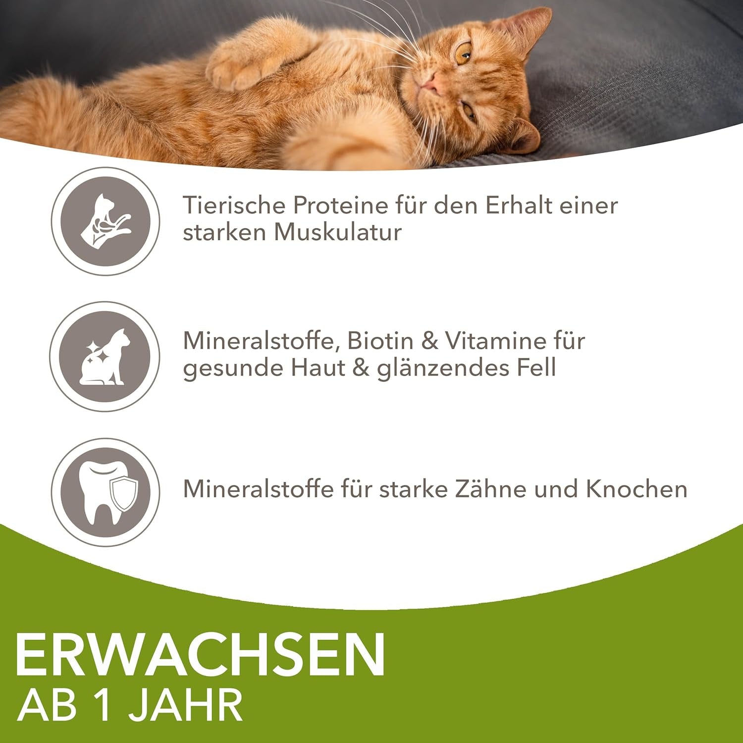 IAMS Delights Land Collection Vådfoder til katte - Multipak med kødvarianter (lam, oksekød, kylling og kalkun) i sauce, vådfoder til katte fra 1 år, 12 x 85g