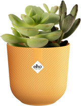 elho Jazz Round Mini 7cm - Indendørs urtepotter - 100% genbrugsplast - Ø 7 x H 6,5 cm - Gul/ravgul