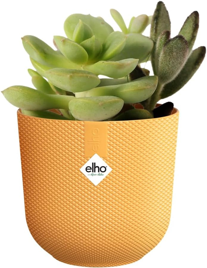 elho Jazz Round Mini 7cm - Indendørs urtepotter - 100% genbrugsplast - Ø 7 x H 6,5 cm - Gul/ravgul
