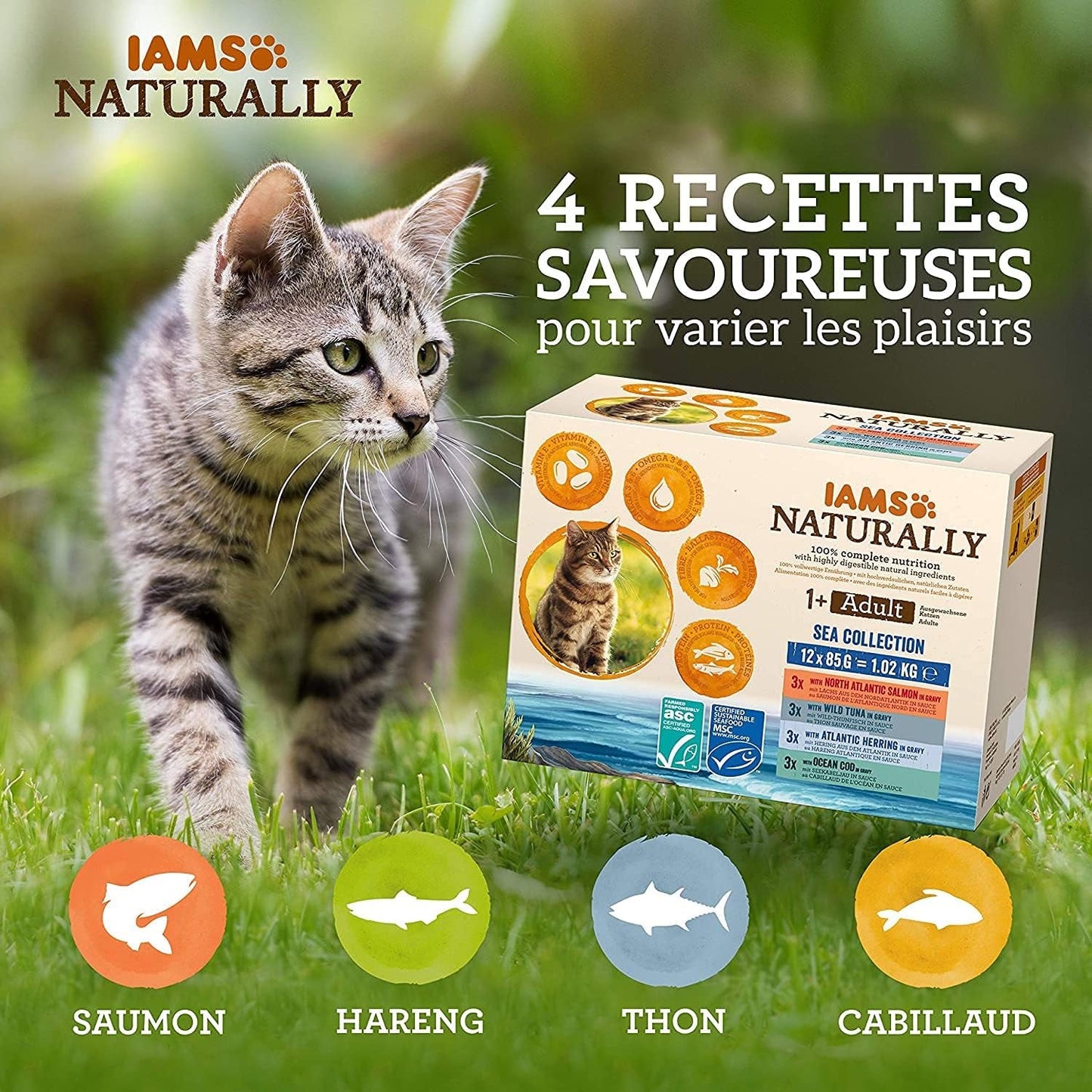IAMS naturligt våd kattefoder i sauce - vådfoder af høj kvalitet med fisk til voksne katte, havsamling, 12 x 85 g