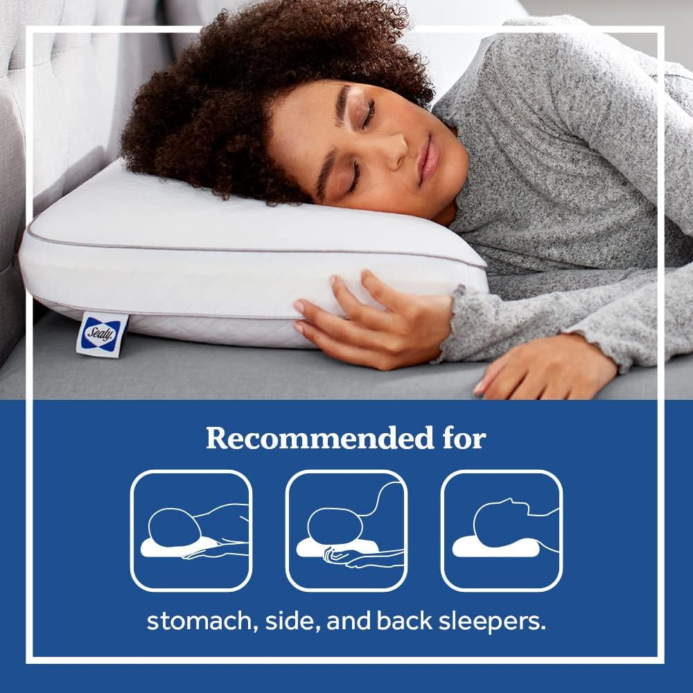 Sealy Essentials Memory Foam Pillow Standard White 2 Piece Naty Shop Standard Puder