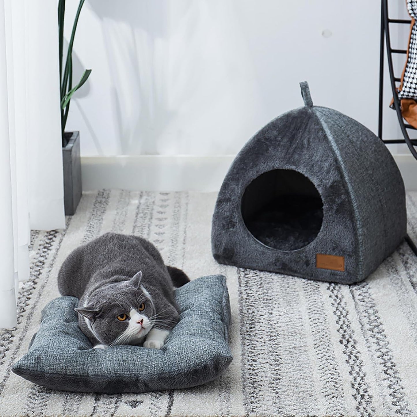 Tæpper og møbler, kæledyr, huler og huse, katte, kattesenge, katte - senge, madrasser