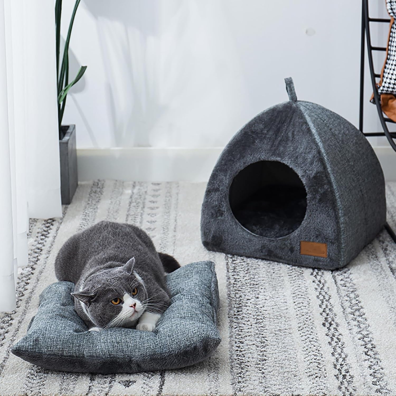Tæpper og møbler, kæledyr, huler og huse, katte, kattesenge, katte - senge, madrasser