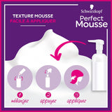 Perfect Mousse Permanent Coloring Mousse, 668 Hasellnuss Hair Dye Naty Shop