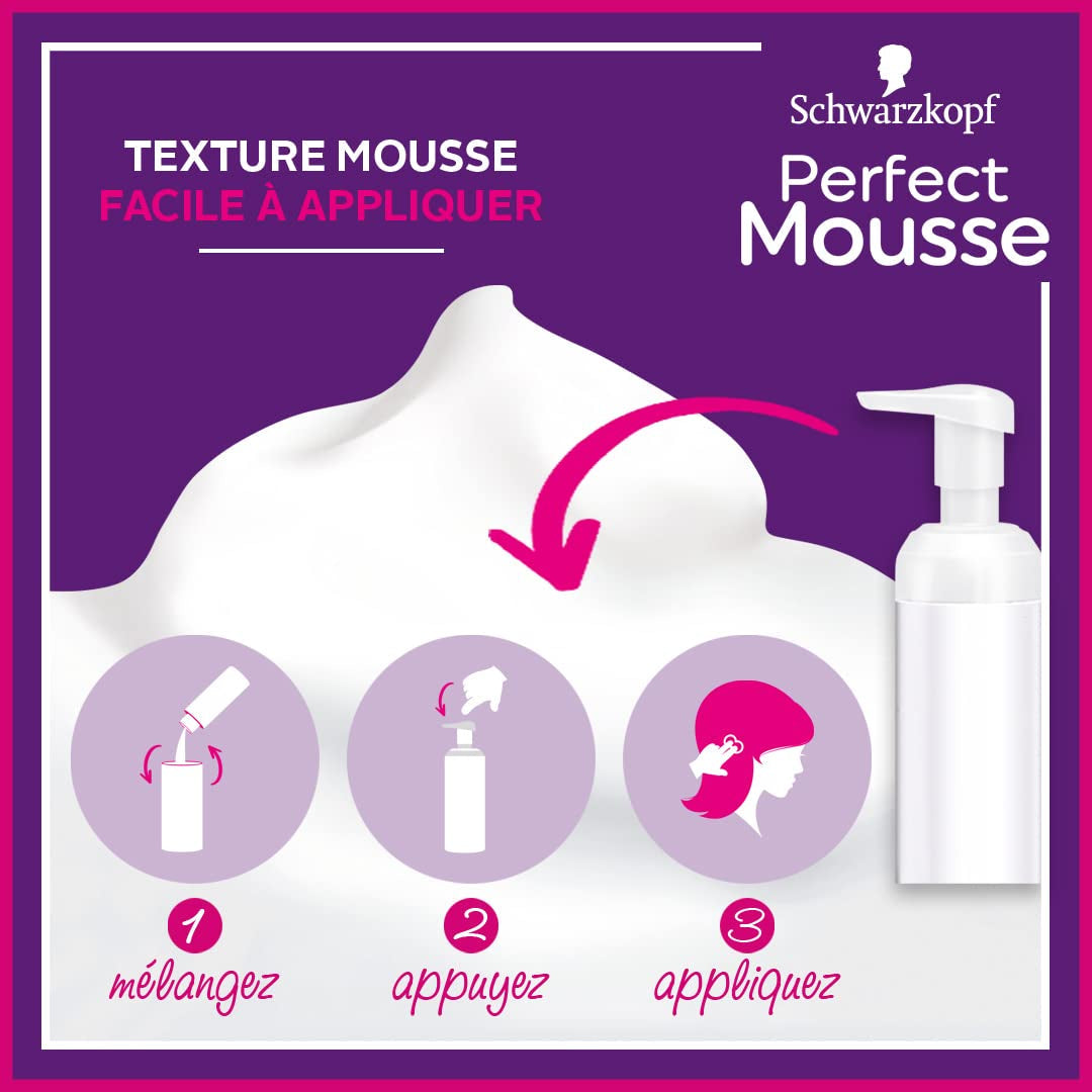 Perfect Mousse Permanent Coloring Mousse, 668 Hasellnuss Hair Dye Naty Shop