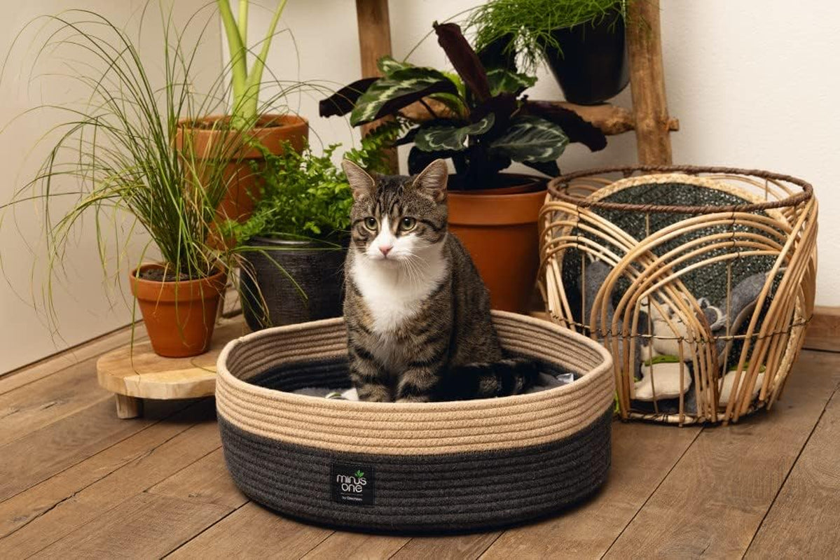Senge, tæpper & møbler, kæledyr, katte, kattesenge, Katte - senge, madrasser