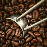 Kaffe med aromatiske hasselnødder, 3 hele bønner á 1000 g