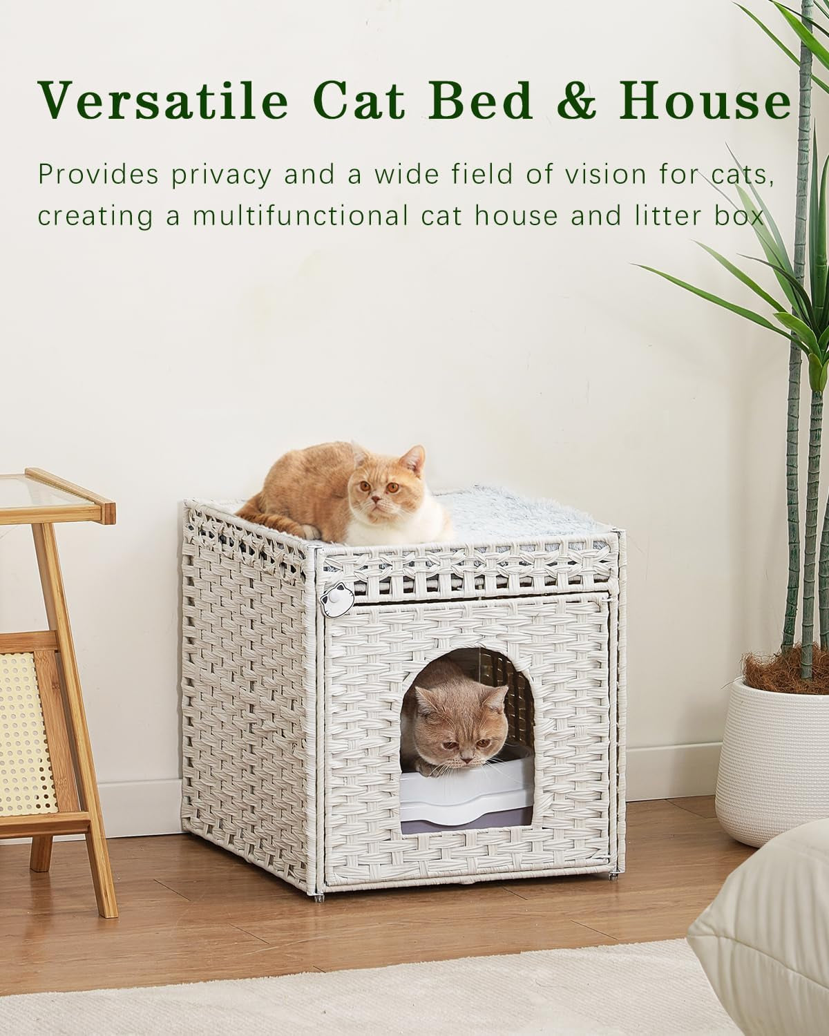 Tæpper og møbler, kæledyr, huler og huse, katte, senge til katte, katte - senge, madrasser