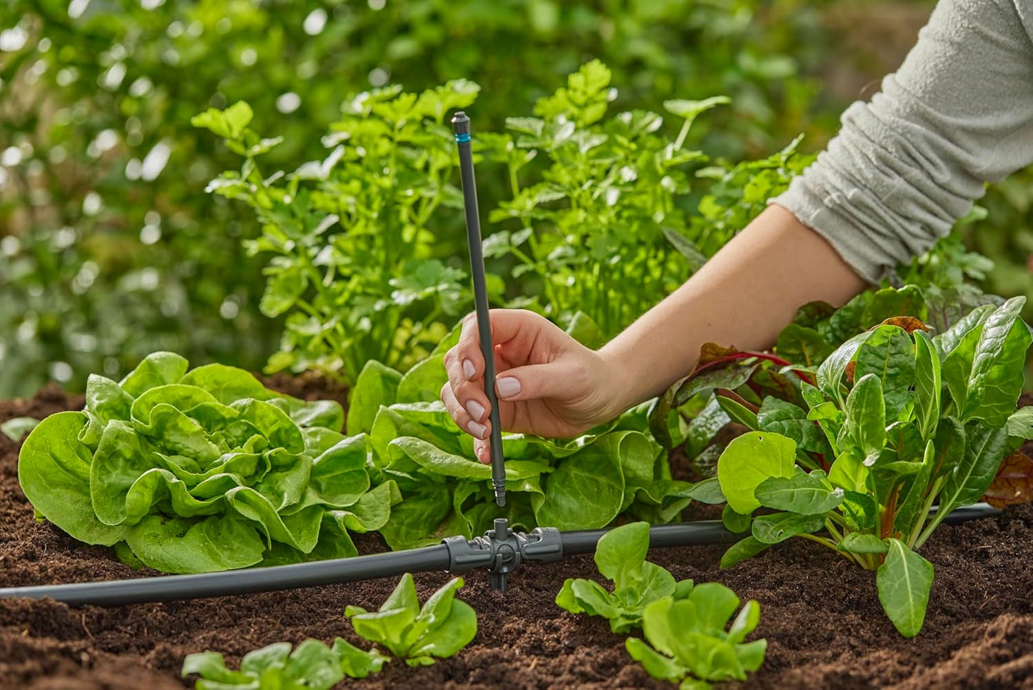 Gardena Micro-Drip-System T-stykke til sprøjtedyser: Forbindelse mellem 13 mm rør og en sprøjtedyse, automatisk plantevanding, hurtig og nem tilslutningsteknologi, genanvendelig (13206-20)
