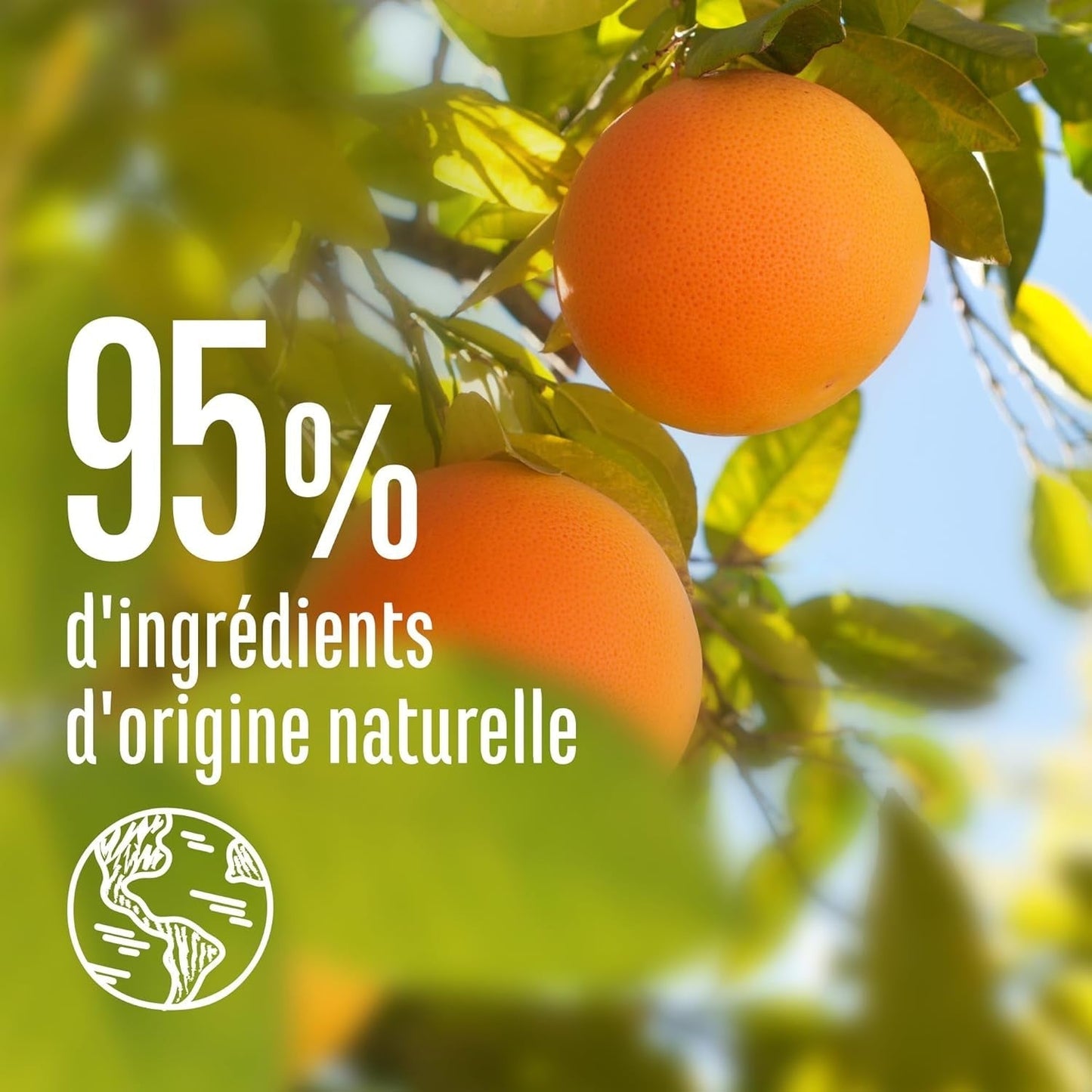 Le Petit Marseillais | Opfiltringsspray med grapefrugt og jasmin (200 ml flaske) - leave-in opfiltringspleje - 95% naturlig og silikonefri Håraffiltringsprodukter Naty Shop