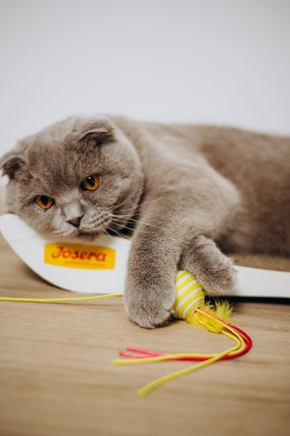 JosiCat Kylling i Sauce (12 x 415 g) | Voksen | Premium vådfoder til voksne katte | Kylling i sauce | Vitamin D3 og E | Drevet af JOSERA | Vådfoder til katte | Komplet mad | Pakke med 12